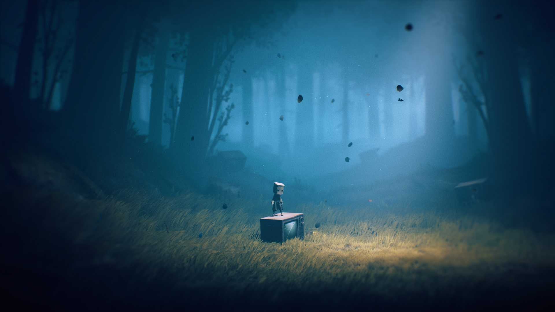 https://images.2game.com/screenshot/little-nightmares-ii-buy-cdkey-full-8.jpg